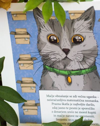 Box! Cat ART print