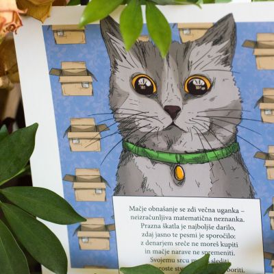 Box! Cat  ART print