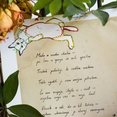 Science journal Cat print