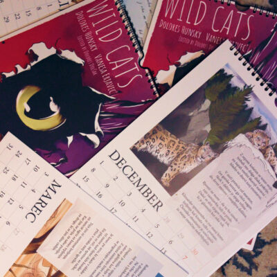 Wild Cats 2025 Calendar