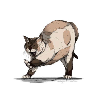Sleepy CAT Sticker