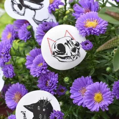 Cat Skull Sticker