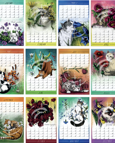 2026 KOLEDAR – Felis Catus Florum