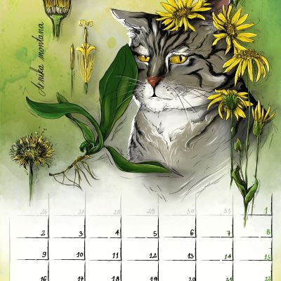 CALENDAR 2026 – Felis Catus Florum PRE-ORDER